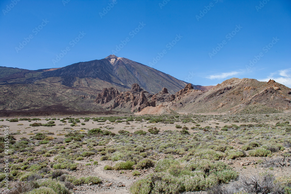На острове Тенерифе / On the island of Tenerife На острове Тенерифе / On the island of Tenerife