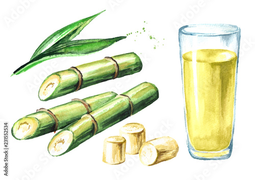 Sugar cane juice with drinking glass, leaves and cut pieces cane set. Watercolor hand drawn illustration isolated on white background