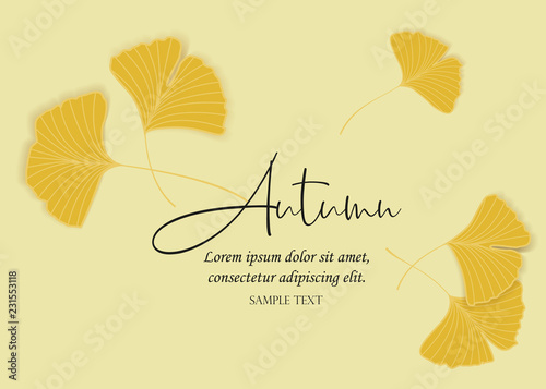 Vector Illustration ginkgo biloba leaves. Background with yellow leaves