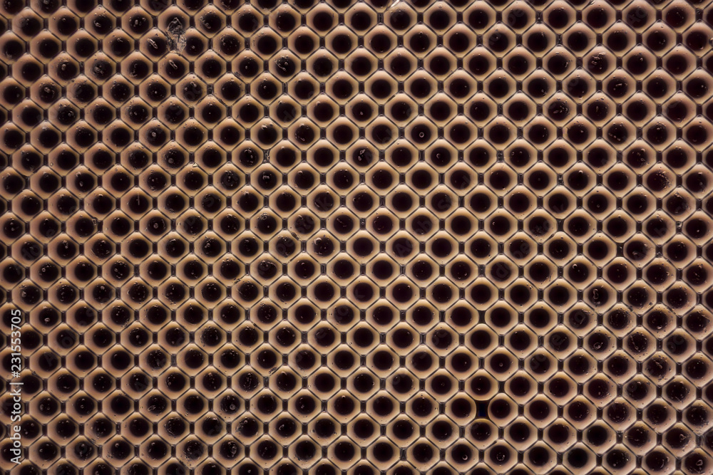 Extreme magnification - Compound eye texture under the microscope Extreme magnification - Compound eye texture under the microscope
