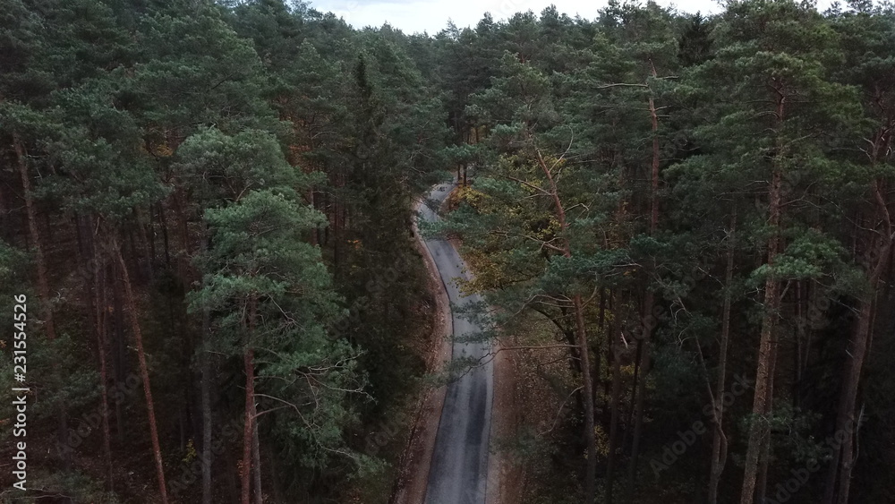Fototapeta premium forest autumn summer blue sky clouds water road nature