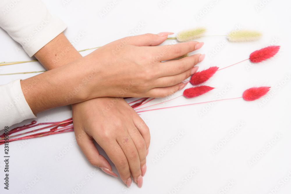 Studio photo concept of beautiful female beauty hands of a girl on a white background with natural flowers. Studio photo concept of beautiful female beauty hands of a girl on a white background with natural flowers.