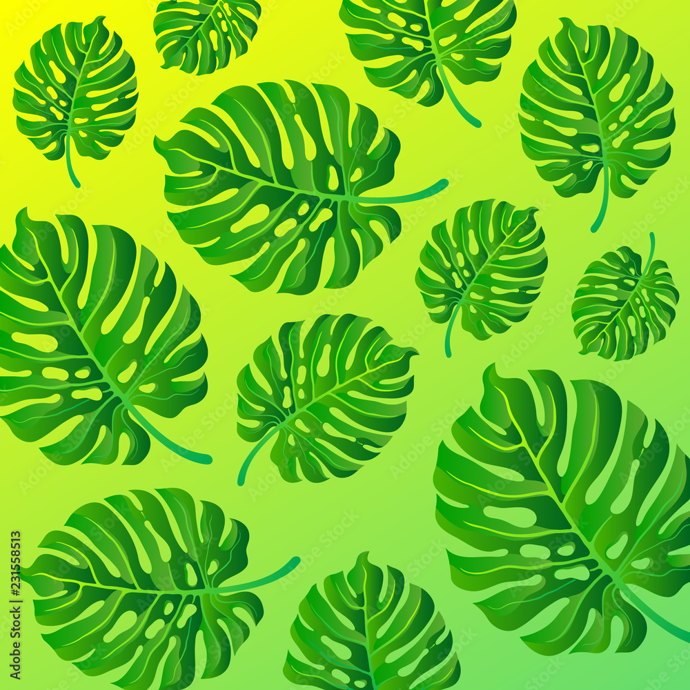 Fototapeta premium Monstera leaves abstract gradient background.