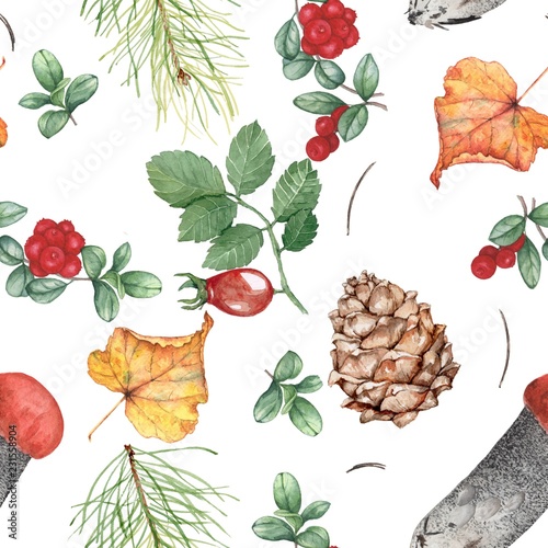Fototapeta Naklejka Na Ścianę i Meble -  Autumn seamless pattern with forest theme 2. Watercolor illustration, hand-drawing