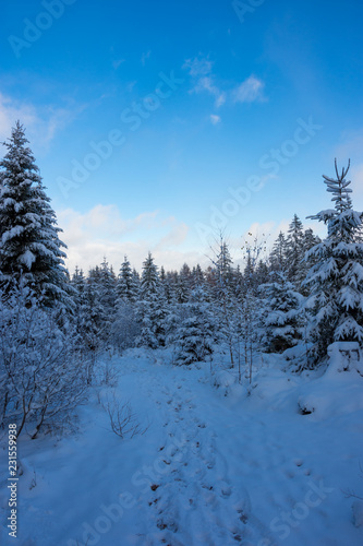 Vier Jahreszeite, Frühling, Sommer, Herbst, Winter