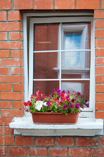 Windows with flowers in a flower box. Brick wall