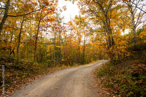 Gravel road through autumn colors