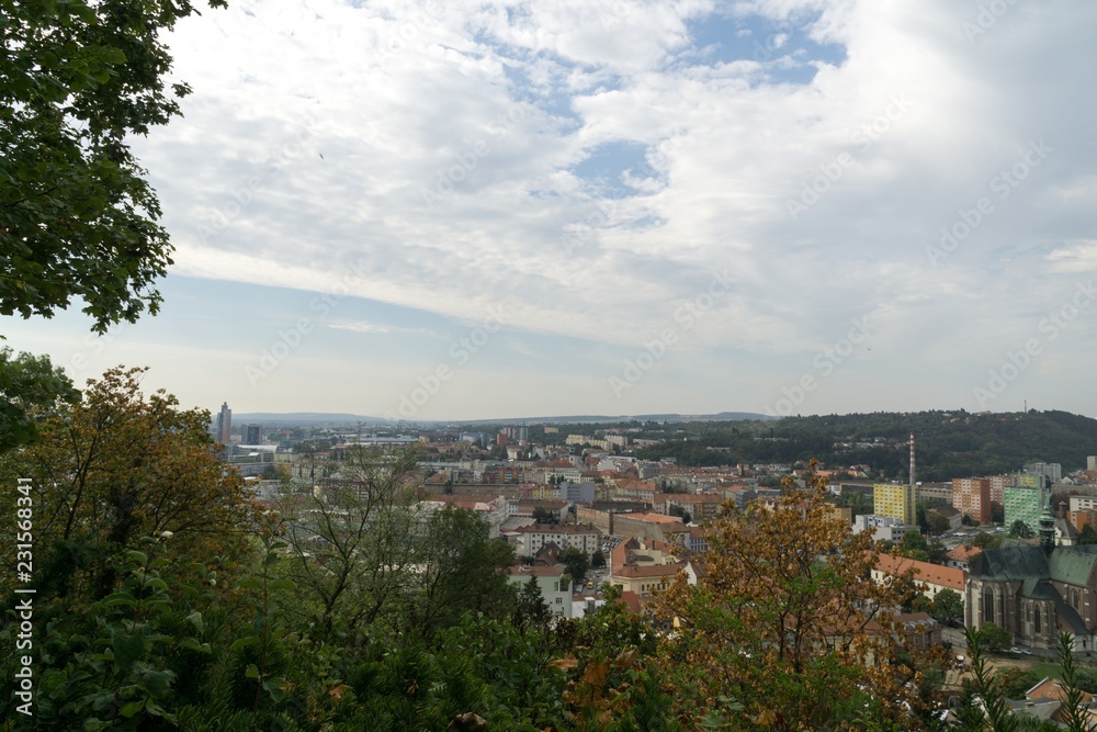View to the Brno city through trees. Czech Republic