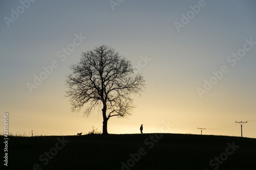 Silhouette of a person playing with a dog under the tree. Slovakia