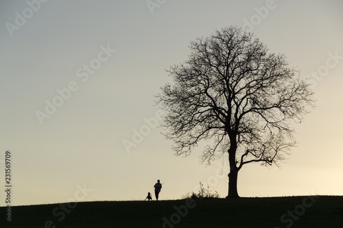 Silhouette of a person playing with a dog under the tree. Slovakia