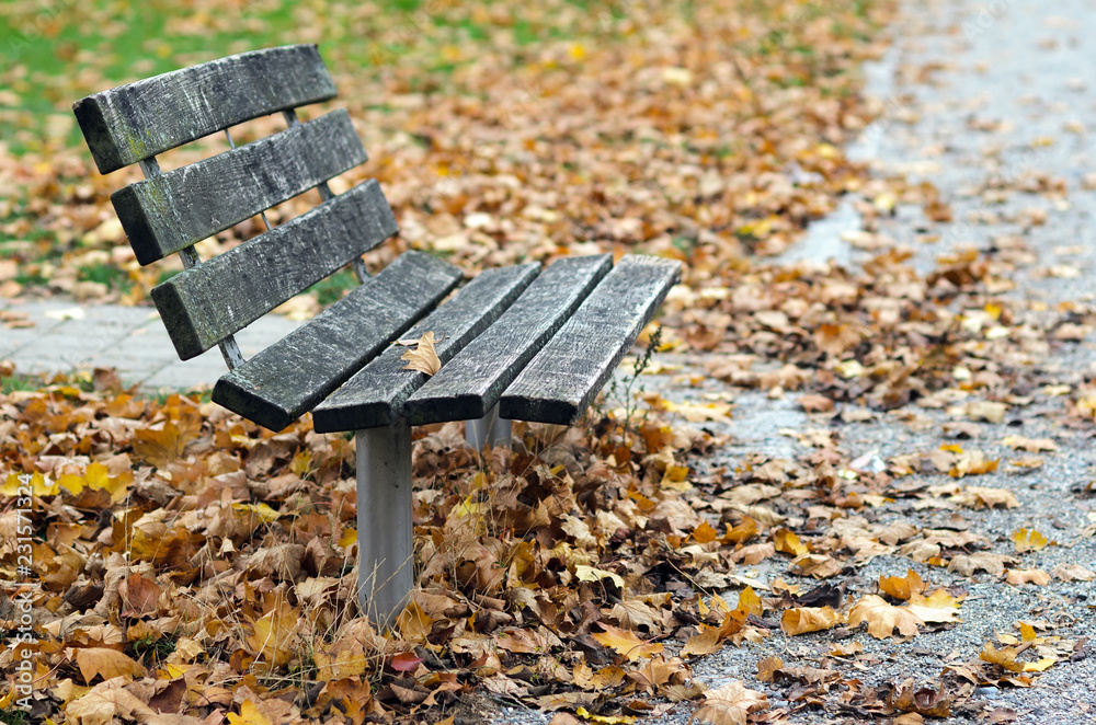Bench with path in autumn park. View of an empty wooden bench and a pebble path in autumn park, with leaves. Bench with path in autumn park. View of an empty wooden bench and a pebble path in autumn park, with leaves.