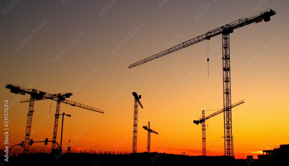 Cranes in a sunset light gradient Cranes in a sunset light gradient