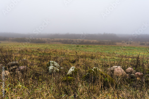 a field with dry grass and stones, the forest is covered with fog, autumn landscape