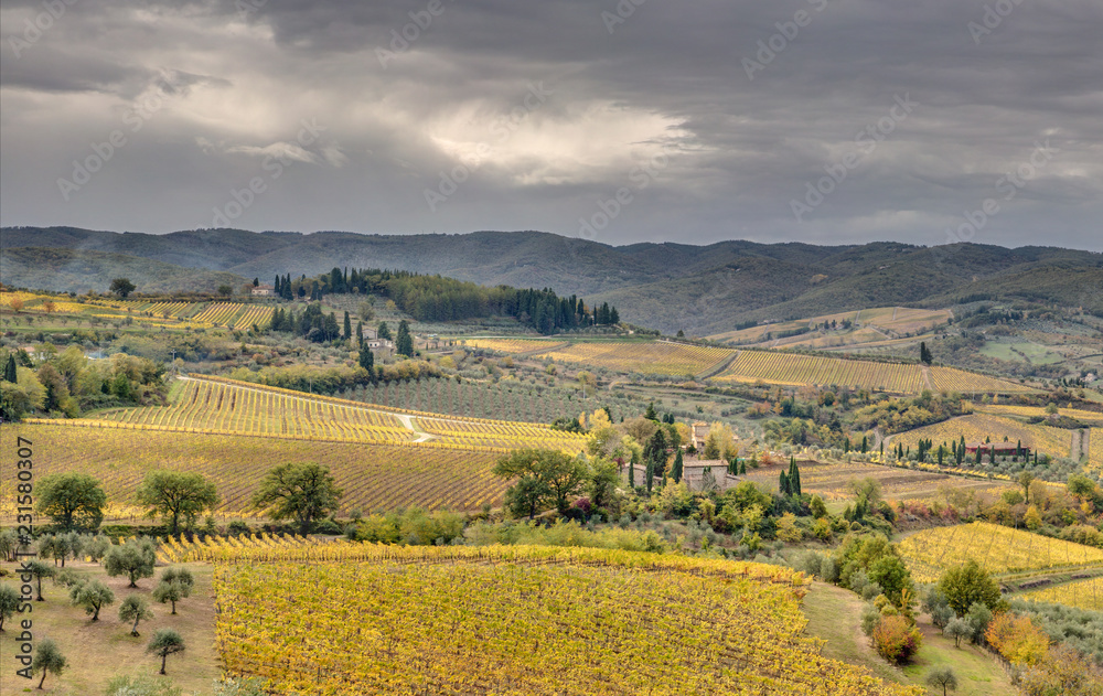 Naklejka premium Panorama de Florence -Toscane - Italie