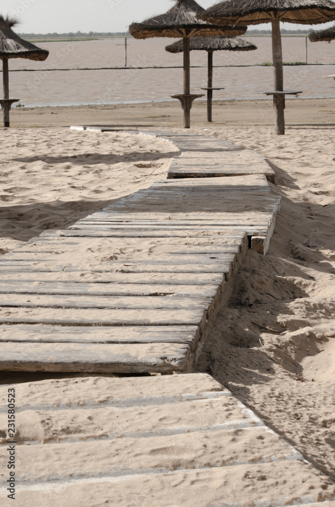 Obraz premium Path to the river on the beach
