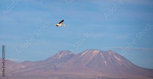 San Pedro de Atacama Desert Nature Landscapes