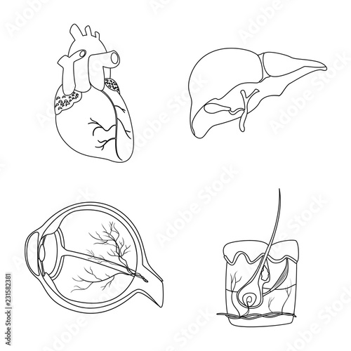 Isolated object of body and human logo. Set of body and medical vector icon for stock.