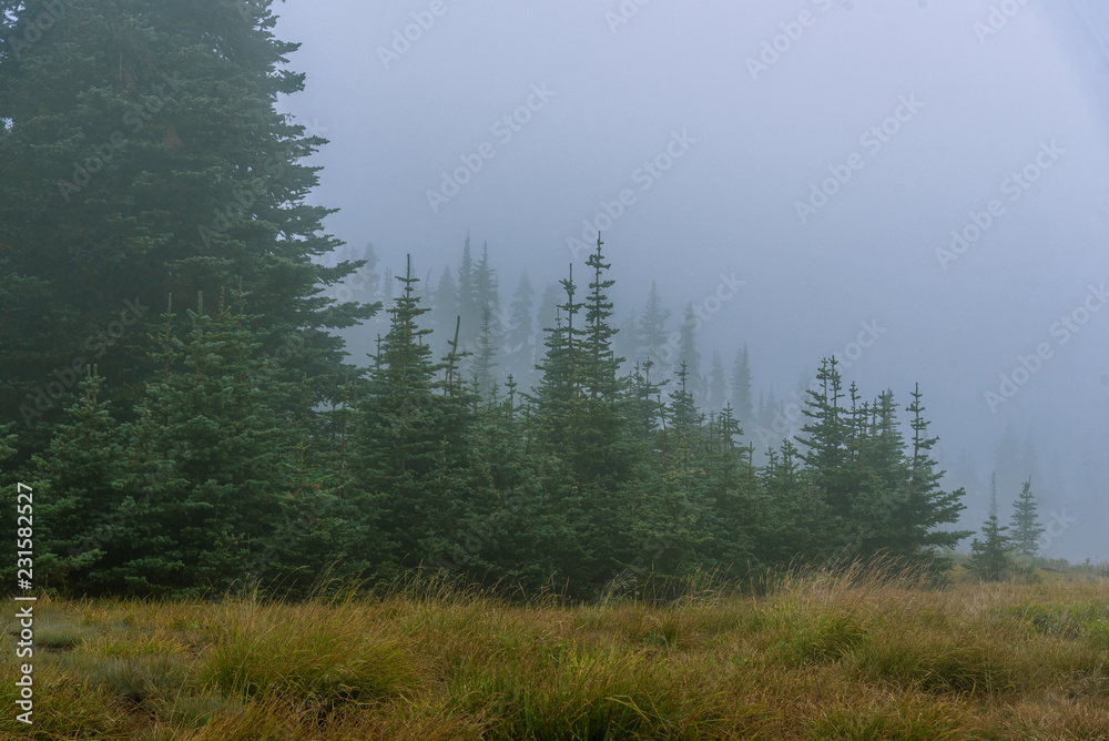 Foggy Mountains Hide Their Secrets