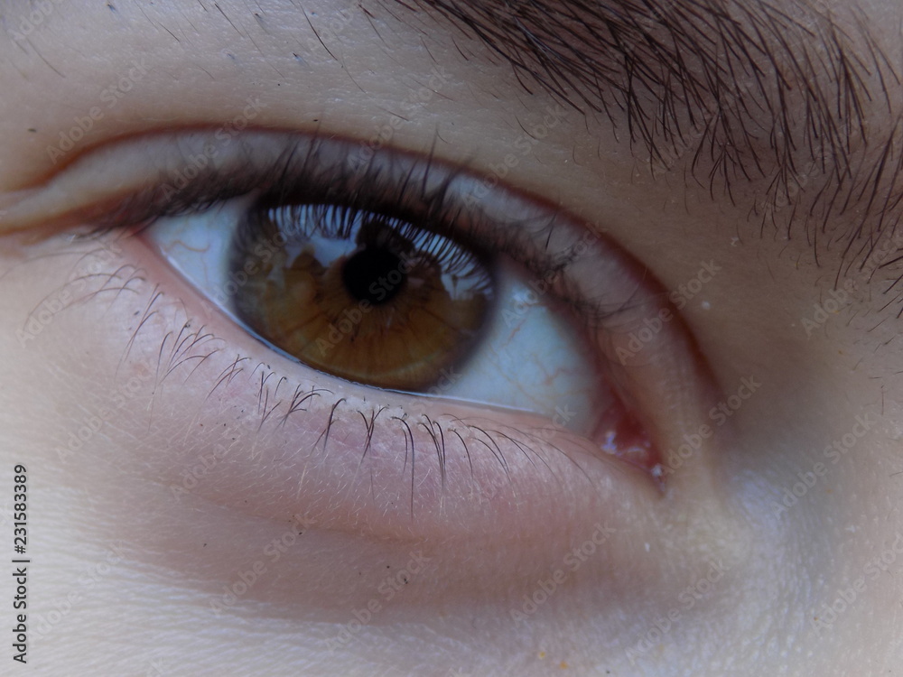 Fototapeta premium close up of human eye