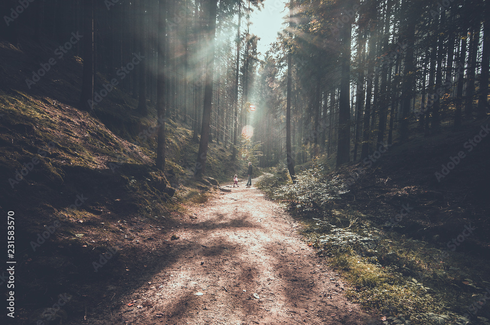 Obraz premium Picturesque view of Hrensko national Park, situated in Bohemian Switzerland, Czech Republic 