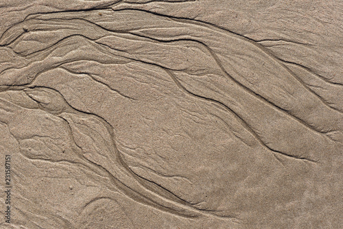 little channels on wet sand left by flowing water and looks like tree branches photo