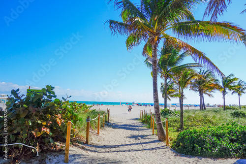 Tropical paradise view: exotic plants and palm trees on blue sky and entrance to the ocean beach