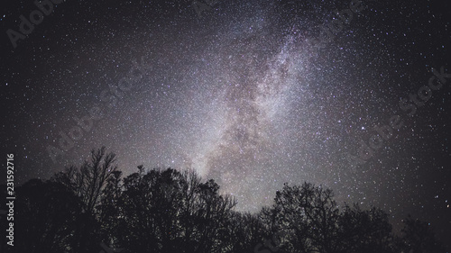 Milky Way at Forest