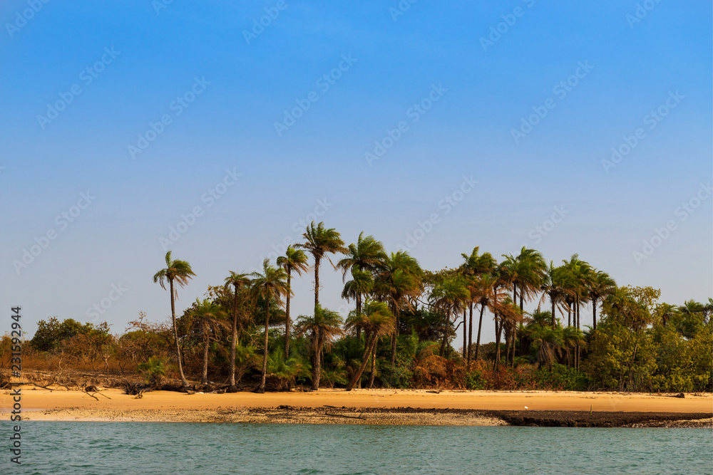 Naklejka premium Deserted beach with palm trees in the island of Orango in Guinea Bissau. Orango is part of the Bijagos Archipelago; Concept for travel in Africa and summer vacations