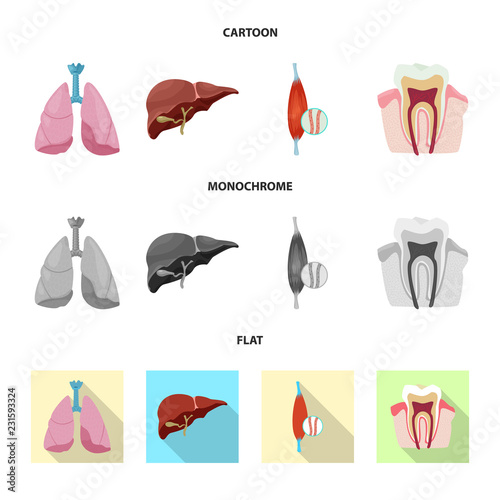 Vector design of body and human sign. Collection of body and medical stock symbol for web.