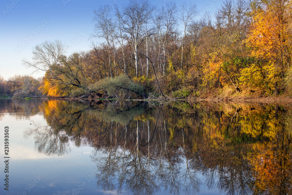 Obraz premium Golden autumn forest over the river