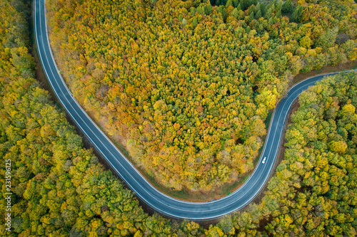 Aerial view of winding road  thorugh Pezinska baba forest in autumn colors, Slovakia photo