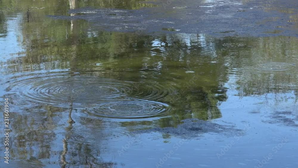 Methane gas bubbling up in a tar pit Methane gas bubbling up in a tar pit