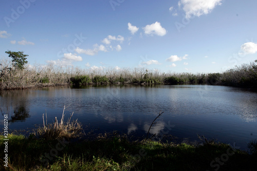 Fototapeta Naklejka Na Ścianę i Meble -  A lake in remote South Florida area