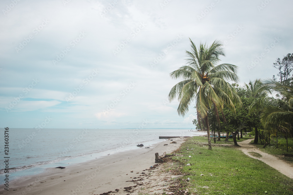 Palm trees on a white sand paradise beach on an overcast day in Livingston, east Guatemala