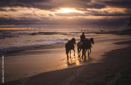 Man walks his horses along the shoreline during a colorful sunset on the long sandy paradise beach of Playa del Carmen, Santa Teresa Costa Rica