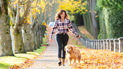 Woman walking golden retriever dog in Fall leaves