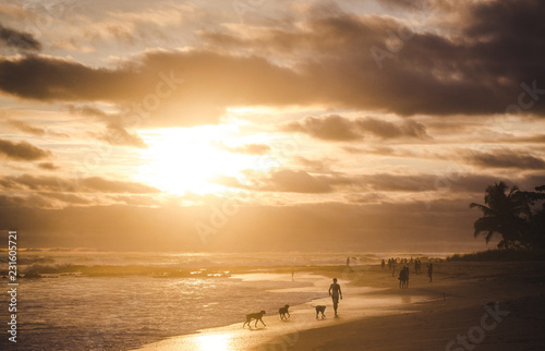 Man walks his dogs along the long sandy paradise beach of Playa del Carmen, Santa Teresa Costa Rica during a colorful sunset