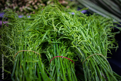Organic fern sell as green and healthy vegetables at Hat Yai's street market. 