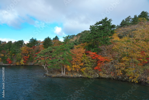 Fototapeta Naklejka Na Ścianę i Meble -  十和田湖の紅葉（日本）