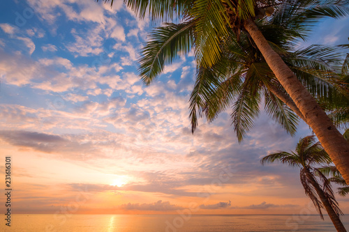 Seascape of beautiful tropical beach with palm tree at sunrise. sea view beach in summer background.