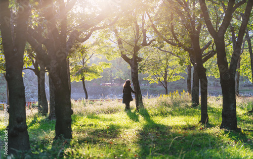 woman walking alone in the forest in summer with daylight in evening