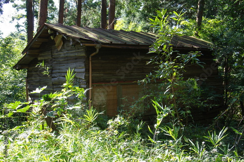 森の中の小屋