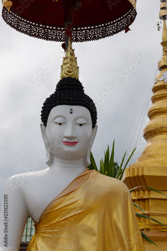 Photography Golden Buddha Statue of the temple of Thailand