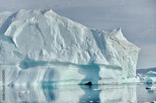 Icebergs drifting in the ocean.