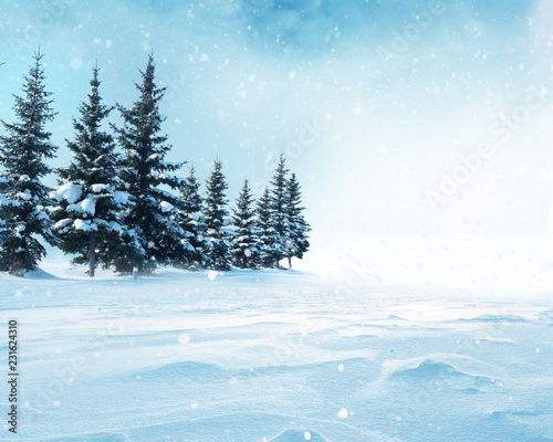 Beautiful winter landscape with snow covered trees.Christmas background © Lilya