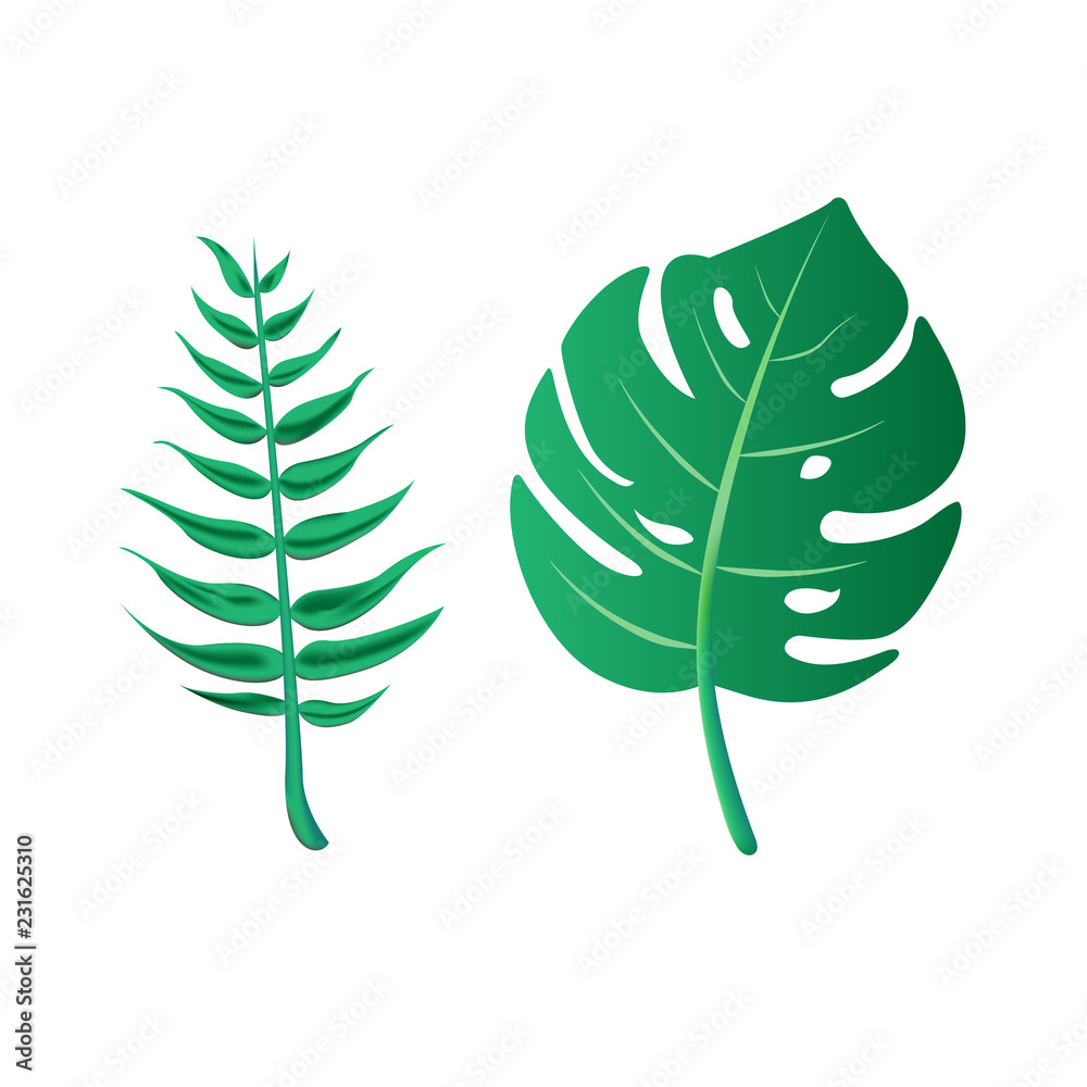 Banner with tropical leaves on background vector image Banner with tropical leaves on background vector image
