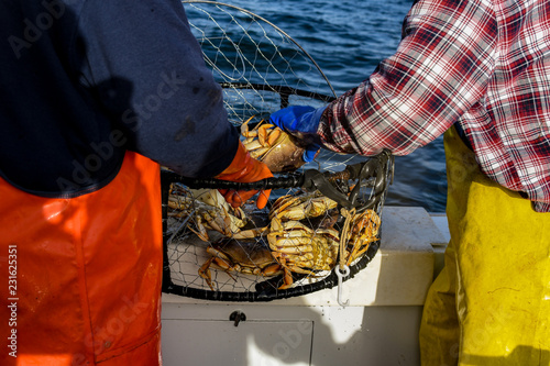 Crab fishing for Dungeness crab off the coast of Half Moon Bay Ca.