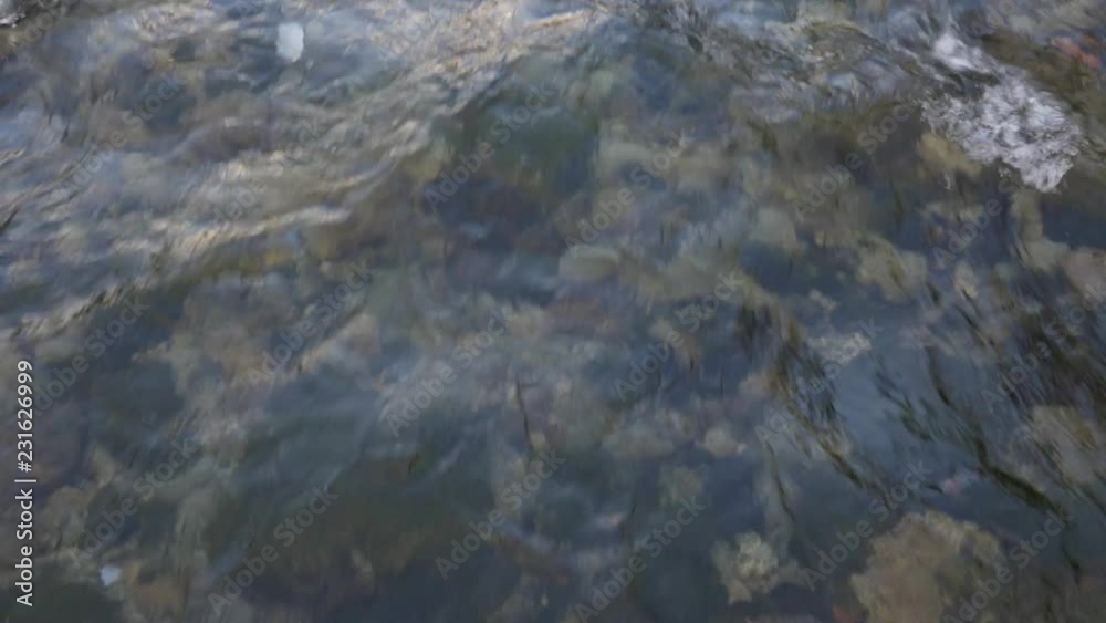 Transparent water in a mountain river, beautifully flowing. Visible stones at the bottom. Transparent water in a mountain river, beautifully flowing. Visible stones at the bottom.