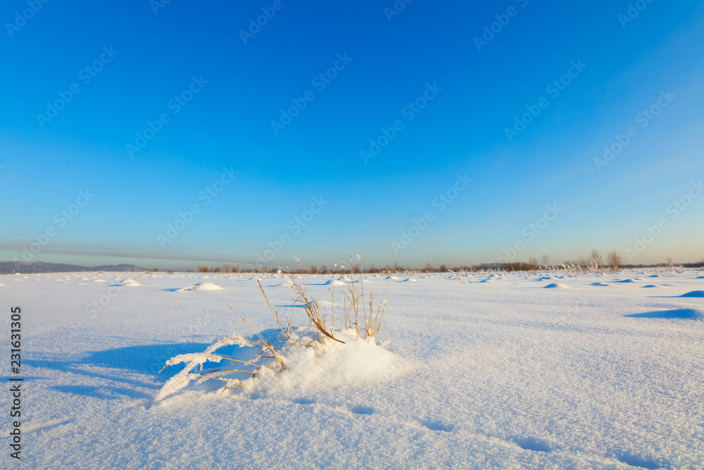 Obraz premium Winter landscape. Cold day.