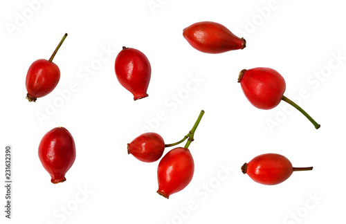 Set of rosehip berries